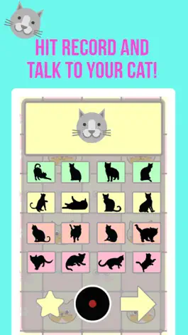 Game screenshot Crazy Cat Translator & Sounds mod apk