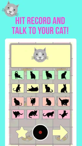 Game screenshot Crazy Cat Translator & Sounds mod apk