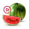 Animated Watermelon Stickers App Positive Reviews