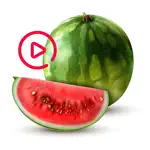 Animated Watermelon Stickers App Cancel