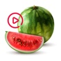 Animated Watermelon Stickers app download