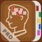 Icon Headache Diary Pro