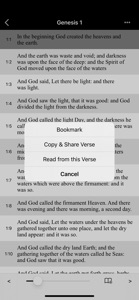 Bible-Simple Bible(ASV) screenshot #4 for iPhone