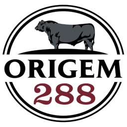 Origem 288