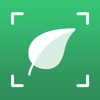 Plant Identifier and info icon