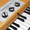 Mellowsound is an emulation of a legendary instrument, a keyboard sampler from the 60s used by many famous artists like the Beatles, King Crimson, Radiohead and many others, this mythic instrument is called The Mellotron