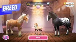 horse haven world adventures iphone screenshot 3