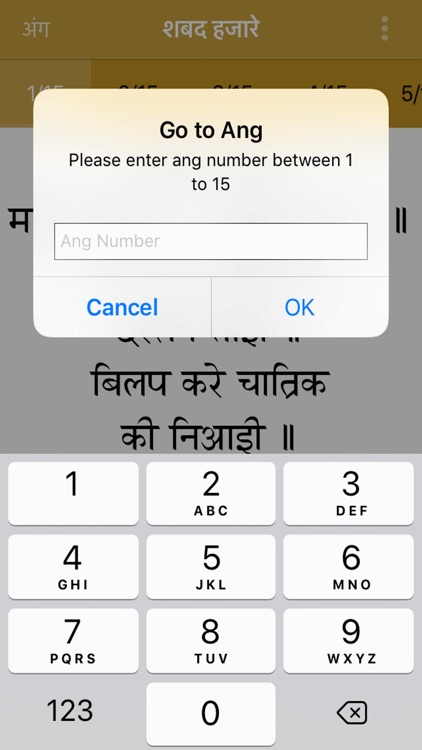 Shabad Hazare Paath screenshot-7