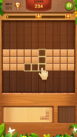 Game screenshot Block Puzzle: Wood Brain Games mod apk