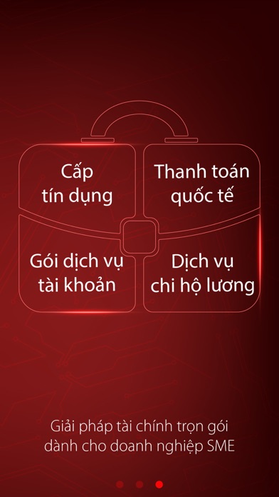 Viet Capital Biz Screenshot