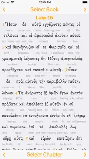 interlinear greek problems & solutions and troubleshooting guide - 1