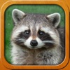 Icon Animals for Kids, full game