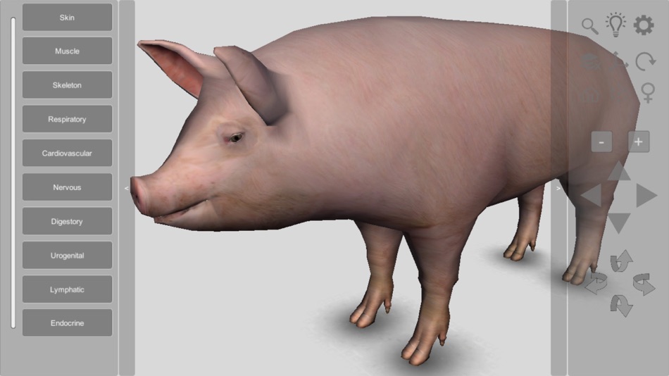 3D Pig Anatomy - 2.03 - (iOS)