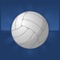 MadVolley is an action packed Volleyball game