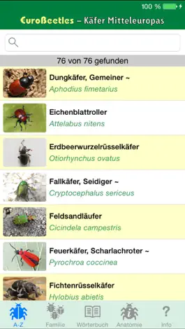 Game screenshot EuroBeetles apk