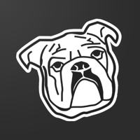 Bulldog