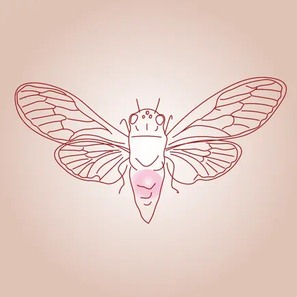 Cicada Games Читы