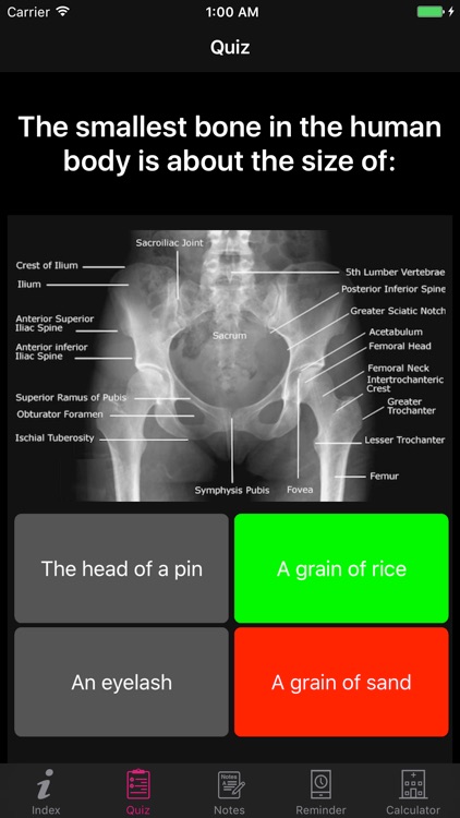Amazing Human Body Facts, Quiz screenshot-3