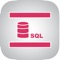 Icon SqlProg Database Query Studio