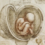 Download Leonardo da Vinci: Anatomy app