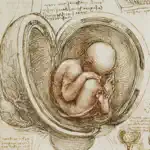 Leonardo da Vinci: Anatomy App Contact