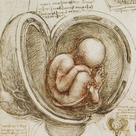Snímky obrazovky (4) Leonardo da Vinci: Anatomy