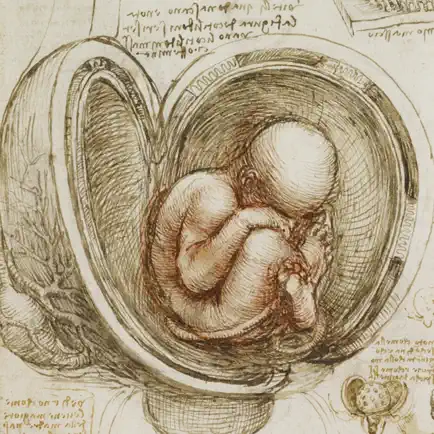 Leonardo da Vinci: Anatomy Читы
