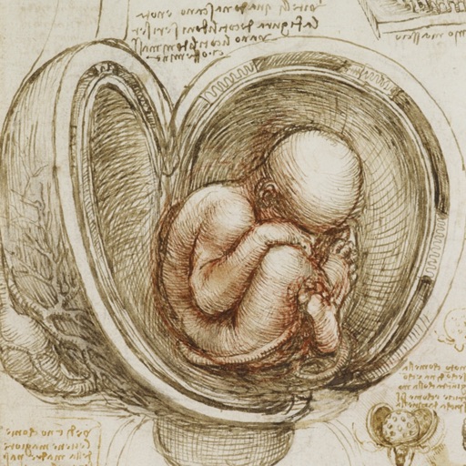 Leonardo da Vinci: Anatomy