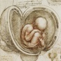Leonardo da Vinci: Anatomy app download