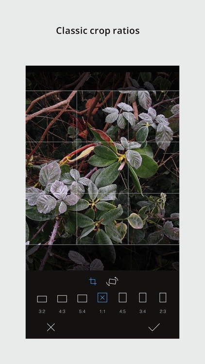 RNI Films screenshot-3