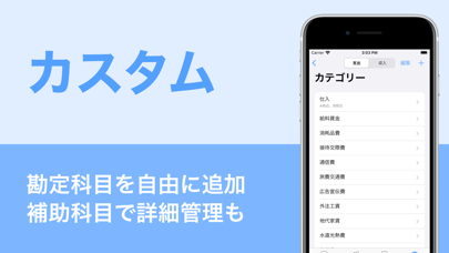 確定申告 マネライズ - 個人事業主の会計ソフトと青色申告のおすすめ画像4