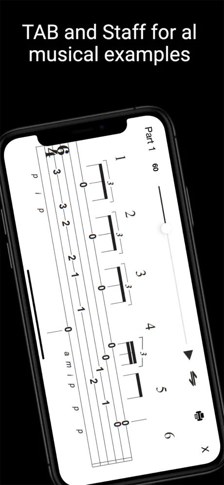 Learn Flamenco Guitar