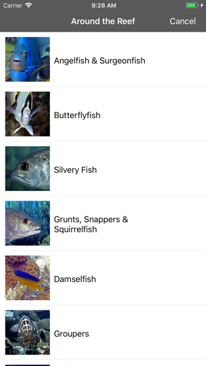 Bermuda Reef Life HD(圖5)-速報App