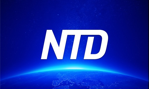 NTD: Live TV & Programs