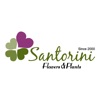 Santorini for Flowers & Plants