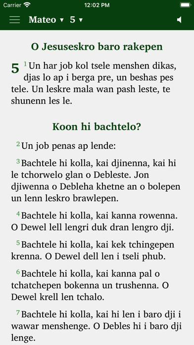 Screenshot #1 pour Sinti Romanes Evangelien