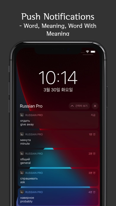 Russian Vocab Pro Screenshot