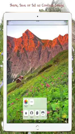 Game screenshot Nature Wallpapers & Background hack