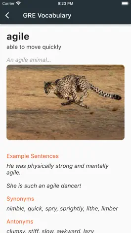 Game screenshot GRE Visual Vocabulary apk