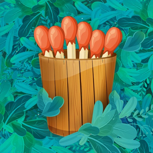 Matches Cup icon