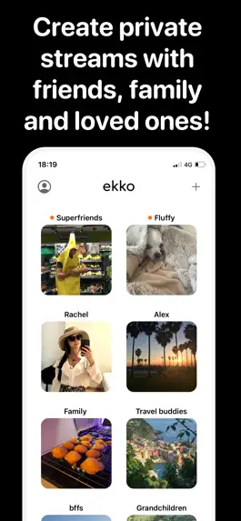 Game screenshot Ekko - shared photo widget hack