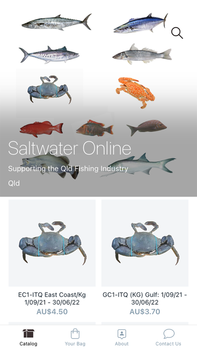 Saltwater Online Screenshot