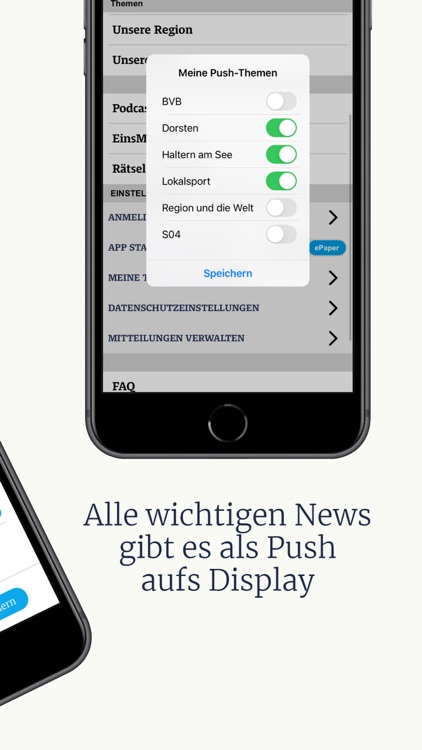 Halterner Zeitung screenshot-5