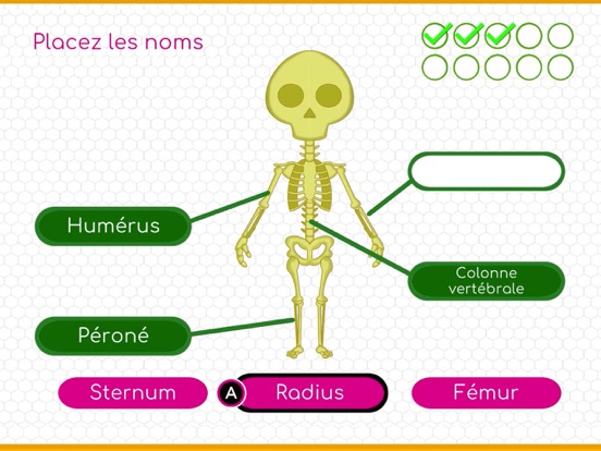 Screenshot #6 pour BodyQuest: Le corps humain