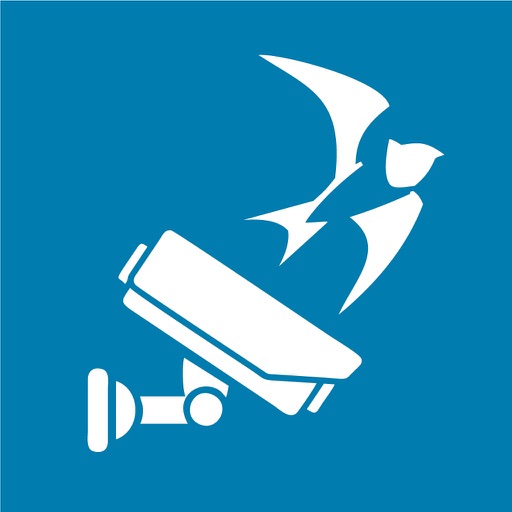 freedom Видеонаблюдение Download