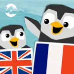 LinguPinguin English French App Positive Reviews