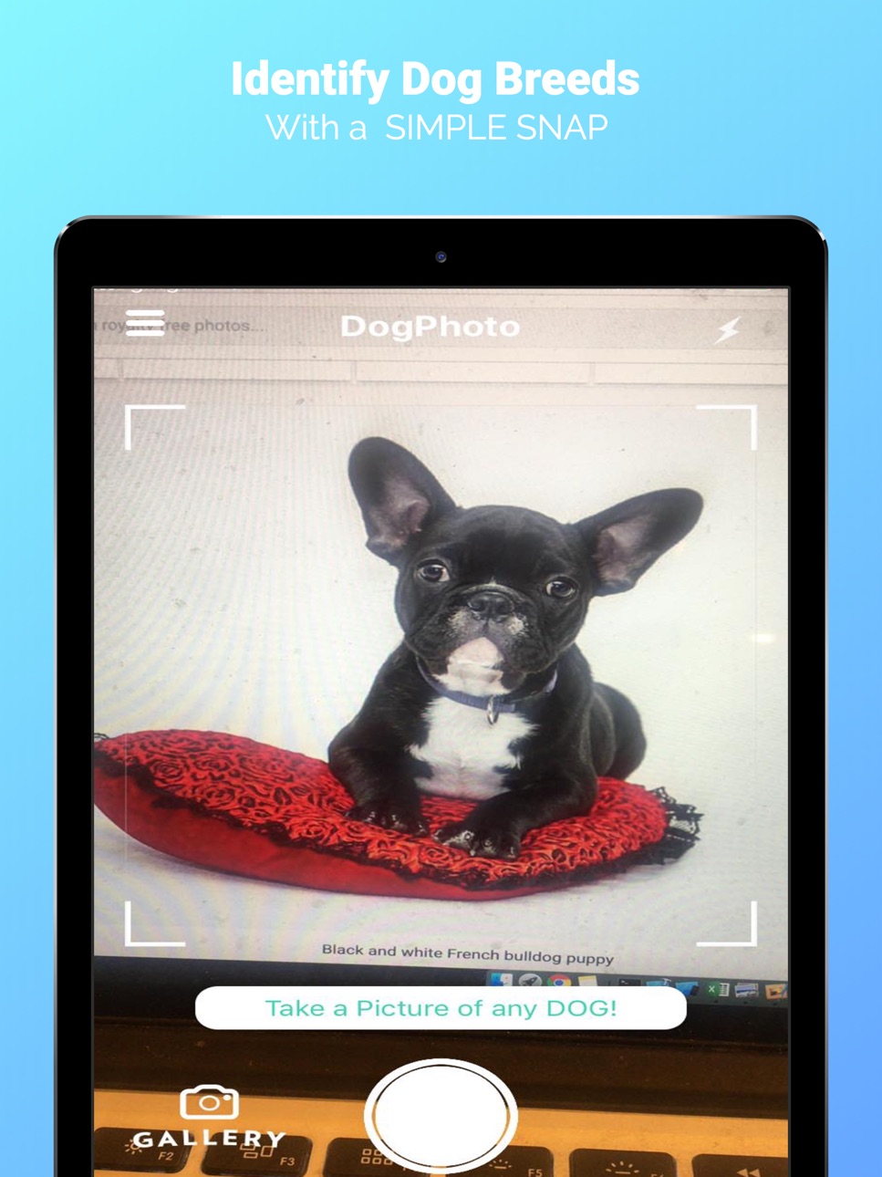 iPad screenshot