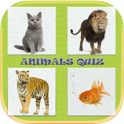 Animals Quiz Game In World app icon