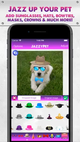 Game screenshot JazzyPet mod apk