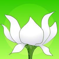 Lotus Bud Mindfulness Bell app not working? crashes or has problems?